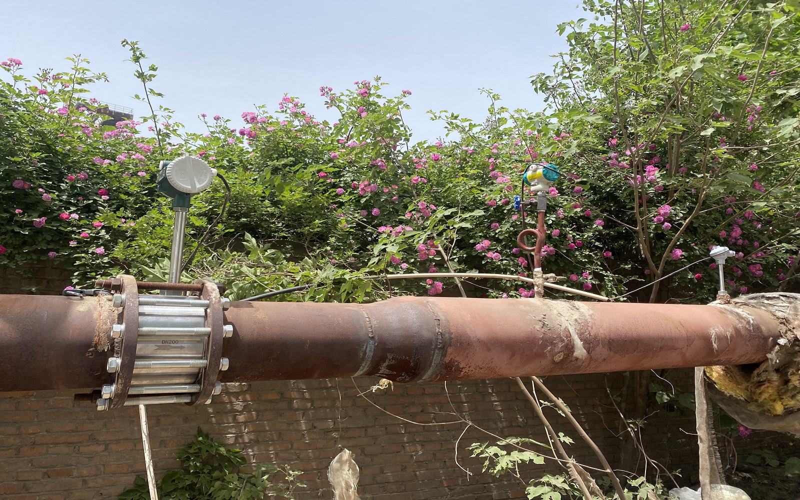 1692867046847029.jpg 1692867046847029.jpg