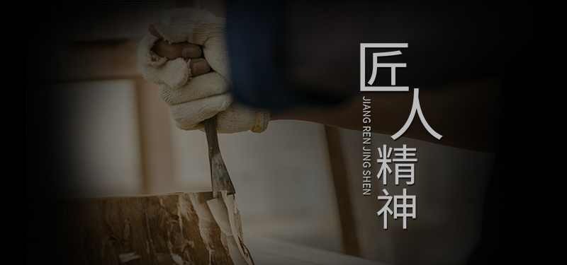 專注，專業(yè)，專家